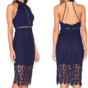 Bardot Lace cocktail dress navy blue